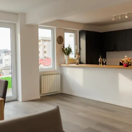 Penthouse - Huge Rooftop Terrace + Skyline View * Bukurešť